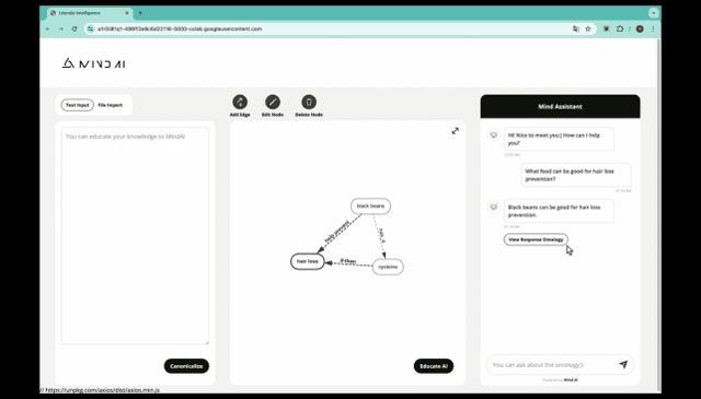 Mind AI - Human Logic Intelligence - Basis of Canonical